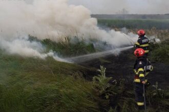 foc la iesire din mangalia spre albesti pompierii intervin cu mai multe masini de stingere 686f82cd1ea16