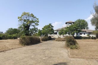 foto actiune de igienizare la vila regala din mamaia in curtea palatului reginei maria ce spune ministerul culturii 688b4fc328d71