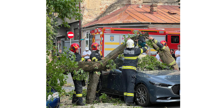 foto dezastru in capitala o femeie a murit in timpul furtunii din bucuresti si ilfov 6879229ddccbb