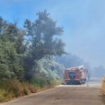 foto foc la iesire din mangalia spre albesti pompierii intervin cu mai multe masini de stingere 686f86304c3a9