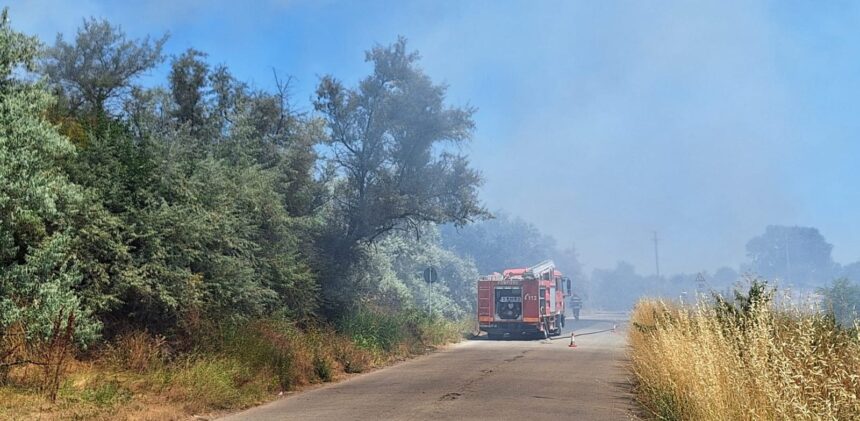 foto foc la iesire din mangalia spre albesti pompierii intervin cu mai multe masini de stingere 686f86304c3a9