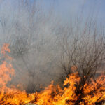 foto incendii la marginea ploiestiului doua cladiri distruse de flacari circulatie restrictionata pe dn1b spre buzau 68866055e028e