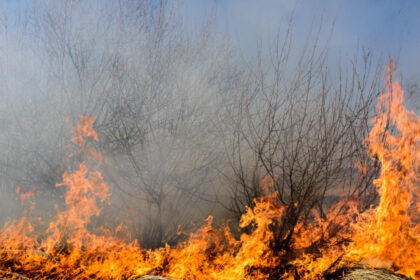 foto incendii la marginea ploiestiului doua cladiri distruse de flacari circulatie restrictionata pe dn1b spre buzau 68866055e028e
