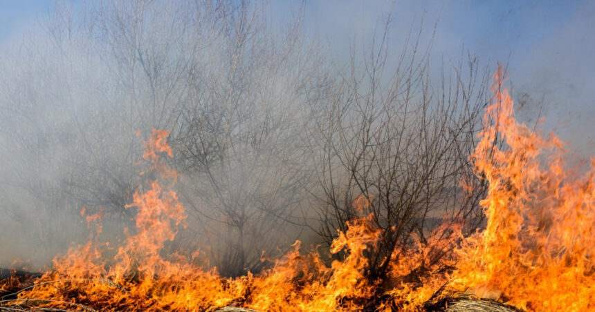foto incendii la marginea ploiestiului doua cladiri distruse de flacari circulatie restrictionata pe dn1b spre buzau 68866055e028e