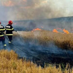 foto incendiile au facut prapad in arges sute de pomi fructiferi 4 autovehicule si mai multe anexe gospodaresti au ars 6886fbdc248de
