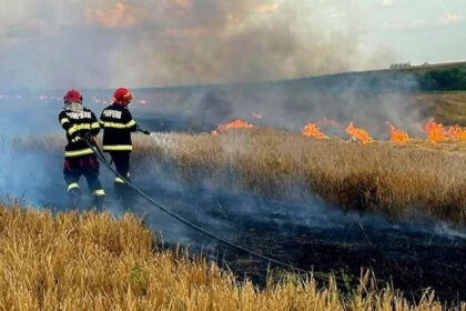 foto incendiile au facut prapad in arges sute de pomi fructiferi 4 autovehicule si mai multe anexe gospodaresti au ars 6886fbdc248de
