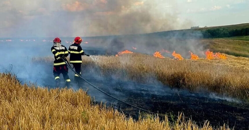 foto incendiile au facut prapad in arges sute de pomi fructiferi 4 autovehicule si mai multe anexe gospodaresti au ars 6886fbdc248de