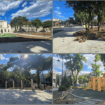 foto lucrarile la parcul oleg danovski aproape de final cand ar putea constantenii sa se bucure de noul spatiu verde amenajat 6870861ceb381