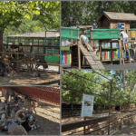 foto video conducerea complexului muzeal pentru stiinte ale naturii constanta investeste in viitor facilitati imbunatatite pentru animale si pasari si planuri pentru achizitii noi ce spune directoru 688056aaabec7