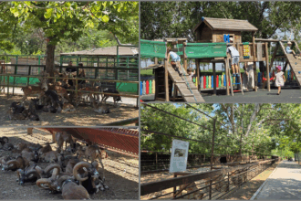 foto video conducerea complexului muzeal pentru stiinte ale naturii constanta investeste in viitor facilitati imbunatatite pentru animale si pasari si planuri pentru achizitii noi ce spune directoru 688056aaabec7