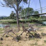 foto video descoperire incredibila in lacul siutghiol iata ce a scos din apa un tanar pasionat de magnet fishing 686e5a28cb2af