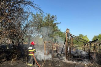 foto video incendiu puternic in bestepe din judetul tulcea doua anexe distruse si doua locuinte in pericol 68864c83b74a6