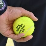 galerie foto cea mai mare amenda scrisa la wimbledon in acest an de ce a fost acuzat campionul en titre 686d0ff78eb02