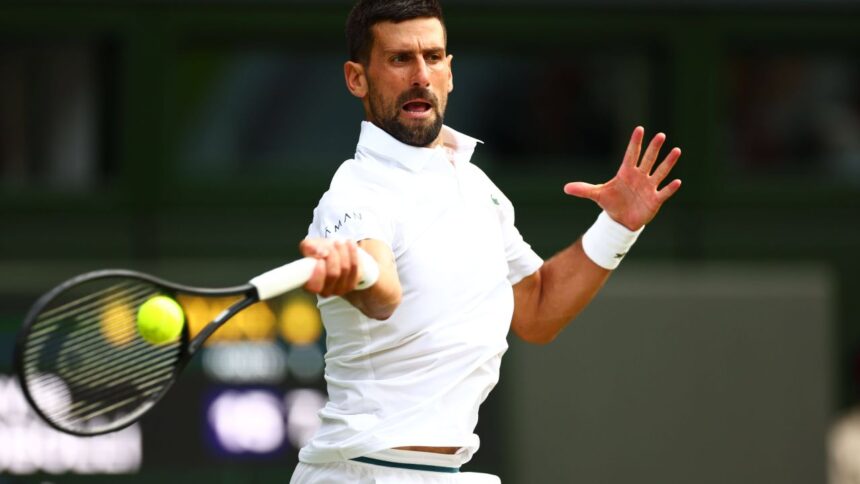 galerie foto djokovic sinner finala din semifinalele wimbledon 2025 avantajul clar avut de carlos alcaraz la castigarea trofeului 686ebac394a1a
