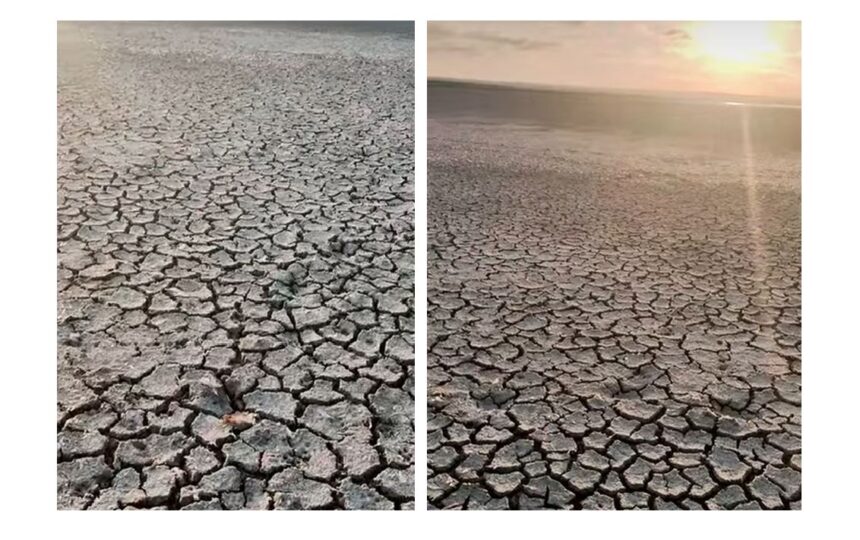 imagini dramatice din judetul constanta lacul nuntasi a secat din nou pamant crapat si nicio urma de apa 6873503d260b0