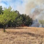 inca nu a fost stins incendiul de padure si vegetatie uscata din zona localitatii greci judetul tulcea 6876065a230d0