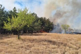 inca nu a fost stins incendiul de padure si vegetatie uscata din zona localitatii greci judetul tulcea 6876065a230d0