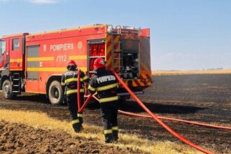 incendiu de vegetatie in apropiere de techirghiol circulatia rutiera pe dn38 oprita 686fa39993780