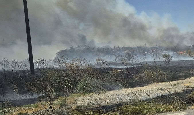 incendiu de vegetatie uscata intre localitatile mangalia si albesti 686f9f840b837