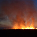 incendiu langa un azil din poarta alba 48 de persoane au fost evacuate in miez de noapte 686ee2787316b
