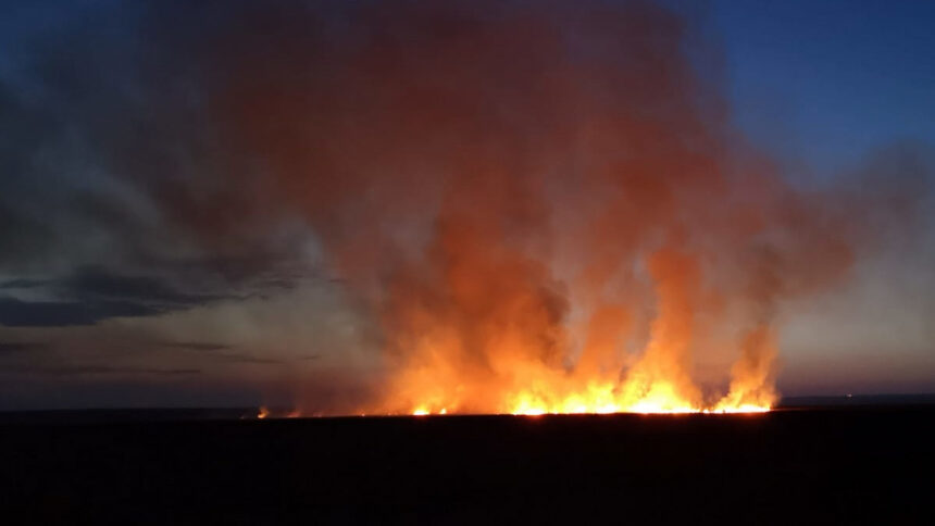 incendiu langa un azil din poarta alba 48 de persoane au fost evacuate in miez de noapte 686ee2787316b