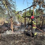 incendiu violent in localitatea bestepe judetul tulcea un barbat a ajuns la spital 68867079d2e30