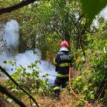 incendiul din muntii macinului a fost lichidat vegetatie specifica arbori si ierburi mistuite de flacari 68766835b6c6a