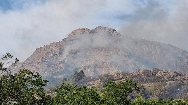 incendiul violent din zona greci a fost lichidat 6877432b2c81c