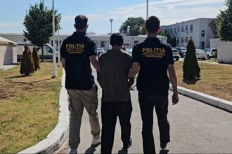 individ arestat pentru incendierea a 3 autoturisme in municipiul constanta 687a2c1776a13