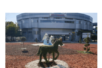 intrarea la microrezervatia din constanta a fost reamenajata cu sprijinul unui ong 686d566f6222b