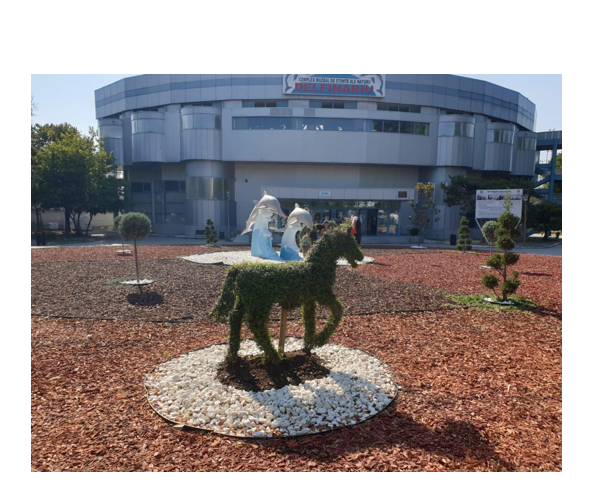 intrarea la microrezervatia din constanta a fost reamenajata cu sprijinul unui ong 686d566f6222b