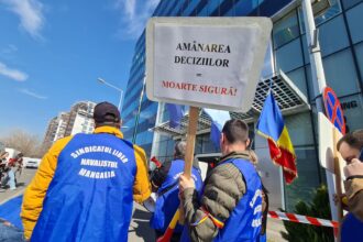 judecatorii explica de ce au anulat vanzarea unor bunuri ale damen shipyards mangalia sa hotararea a fost atacata 6871d162cd845