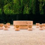 lege promulgata 2026 va fi anul constantin brancusi 6884f040267f1