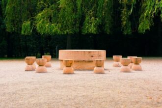 lege promulgata 2026 va fi anul constantin brancusi 6884f040267f1