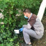licitatia de peste 70 de milioane de lei pentru deratizare la constanta contestata cnsc obliga primaria sa modifice caietul de sarcini 6875762148726