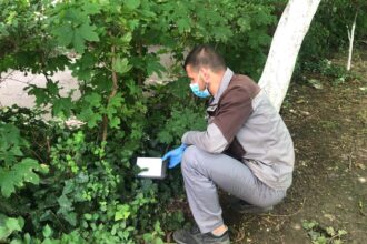 licitatia de peste 70 de milioane de lei pentru deratizare la constanta contestata cnsc obliga primaria sa modifice caietul de sarcini 6875762148726