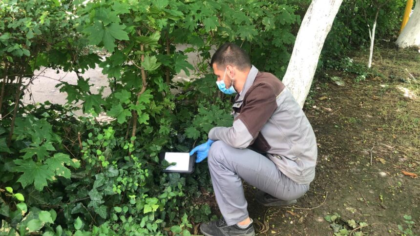 licitatia de peste 70 de milioane de lei pentru deratizare la constanta contestata cnsc obliga primaria sa modifice caietul de sarcini 6875762148726