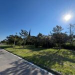 lucrarile de reabilitare a parcului tabacarie se apropie de final trenuletul ar putea fi repus in functiune 68718ef61ca74