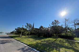 lucrarile de reabilitare a parcului tabacarie se apropie de final trenuletul ar putea fi repus in functiune 68718ef61ca74