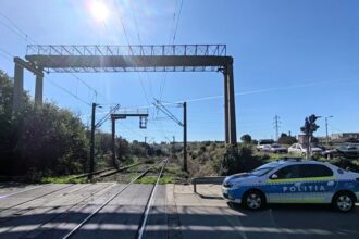 medicul veterinar scapa de amenda si de suspendarea permisului instanta sanctioneaza replica politistului ne ducem si va aprindem lumanari 688941ff8697d