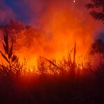 misiune cumplita la tulcea pentru salvarea padurii alte 30 de hectare de fond forestier devorate de flacari pompierii inca sting focarele 686ac39fc91b5