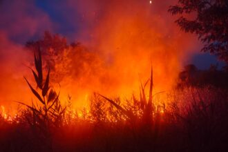 misiune cumplita la tulcea pentru salvarea padurii alte 30 de hectare de fond forestier devorate de flacari pompierii inca sting focarele 686ac39fc91b5