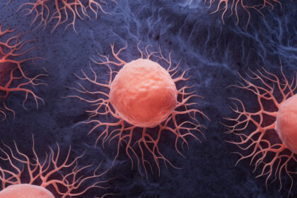 mutatia genetica subtila care i face pe oameni vulnerabili la cancer explicatia cercetatorilor si comparatia cu alte primate 6870b1523a7ae