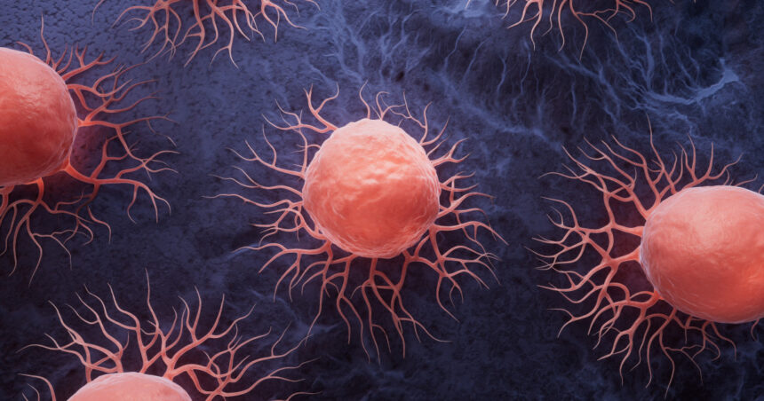 mutatia genetica subtila care i face pe oameni vulnerabili la cancer explicatia cercetatorilor si comparatia cu alte primate 6870b1523a7ae