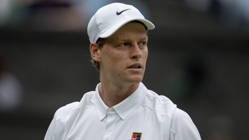 news alert drama la wimbledon sinner dimitrov meci oprit in setul trei printre lacrimi 686c2ef7c3e83