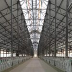 o hala de depozitare si procesare legume va fi construita in palazu mic cu fonduri europene 687658e0cbc53