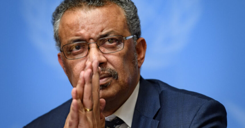 oms denunta atacurile israeliene asupra sediilor sale din fasia gaza 687f4ab81e8db