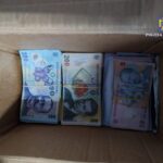 perchezitii in judetele tulcea si constanta 6 tinere exploatate sexual de 5 barbati prin metoda loverboy zeci de mii de lei bijuterii si autoturisme de lux confiscate 688b63afb774c