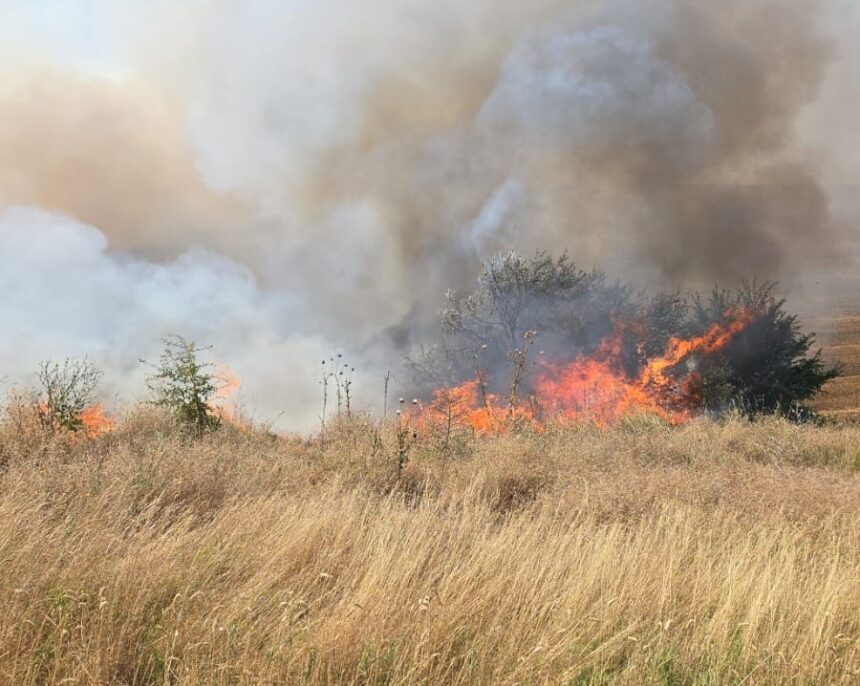 pericol la iesirea din nuntasi spre cogealac paiele de la o ferma au luat foc 687754c4429b0