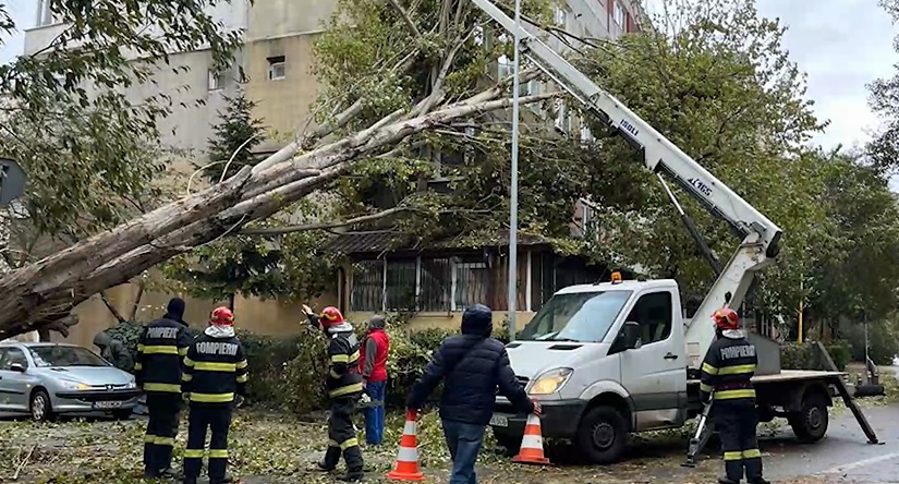 primaria constanta obligata sa plateasca despagubiri dupa ce un copac a distrus o masina cati bani sunt la mijloc 687751da611f1